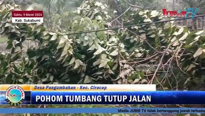 Pohon Tumbang Tutupi Jalan Cikangkung Cibuaya - Kecamatan Ciracap