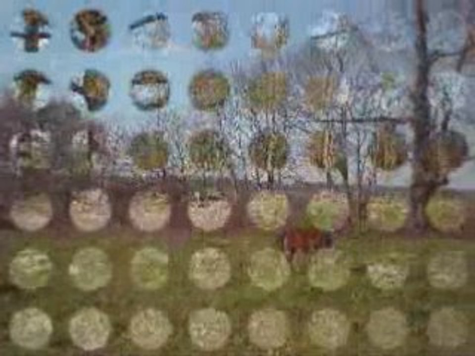 Troupeau (avril 2008)