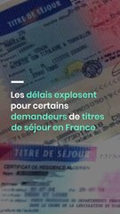 Les délais explosent pour certains demandeurs de titres de séjour en France