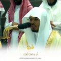 أم لهم إلاه غير الله قبس للشيخ أ.د. ياسر الدوسري من فجر 7 صفر 1445