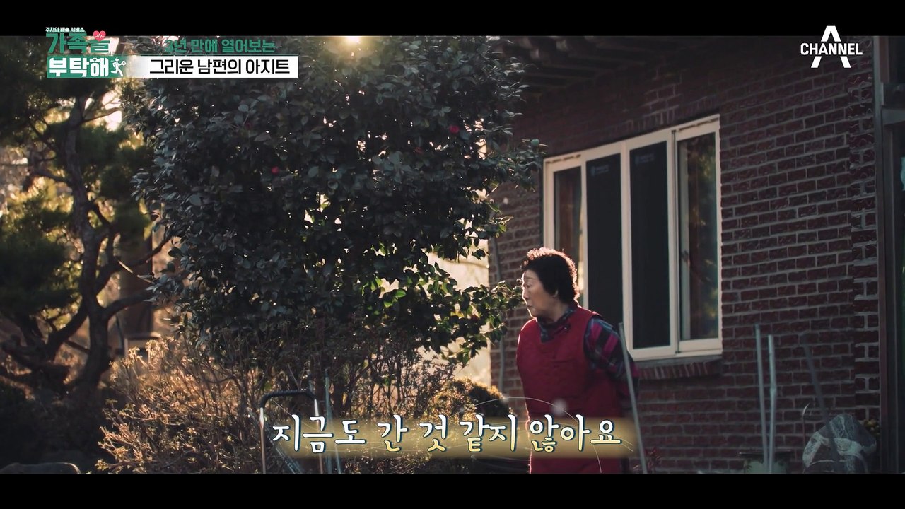 치과 치료 SOS♨ 남은 치아가 3개뿐인 심각한 상황(ㅠㅠ)