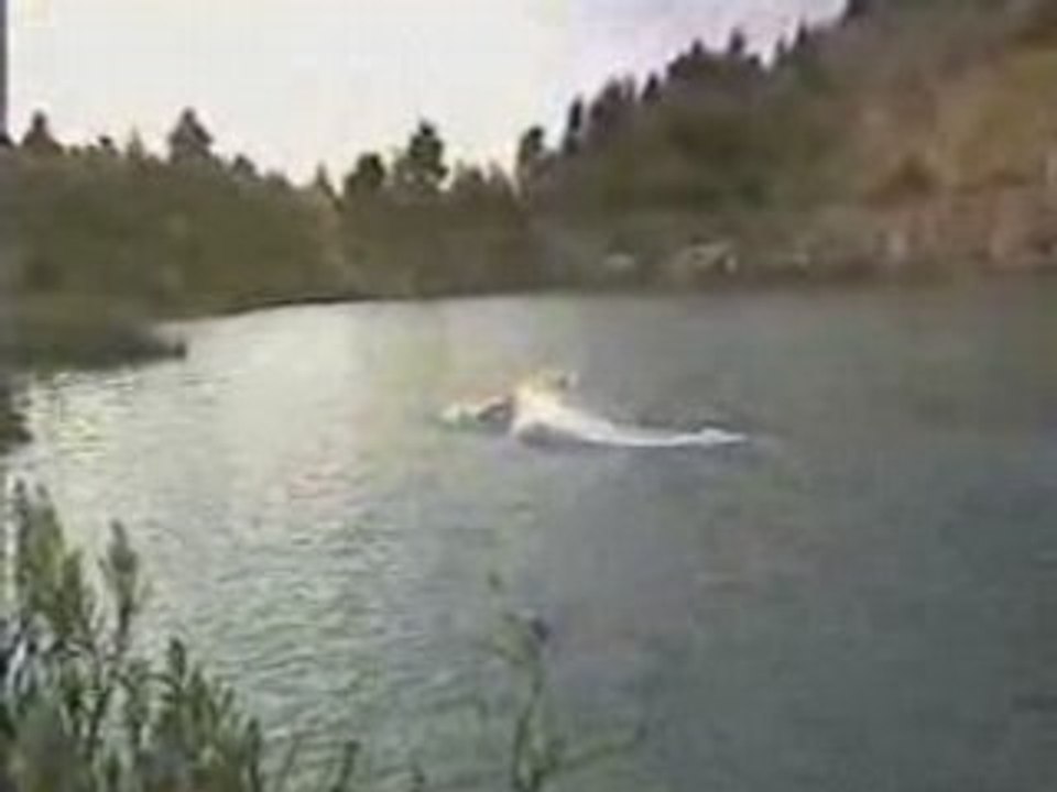 MHZ OSSHORE RC
