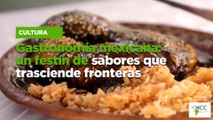Gastronomía mexicana: un festín de sabores que trasciende fronteras