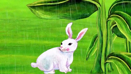 Learn the ABCs in Lower-Case_ _r_ is for rabbit and rainbow