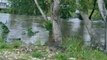 Inondations centre de Morne à l'Eau