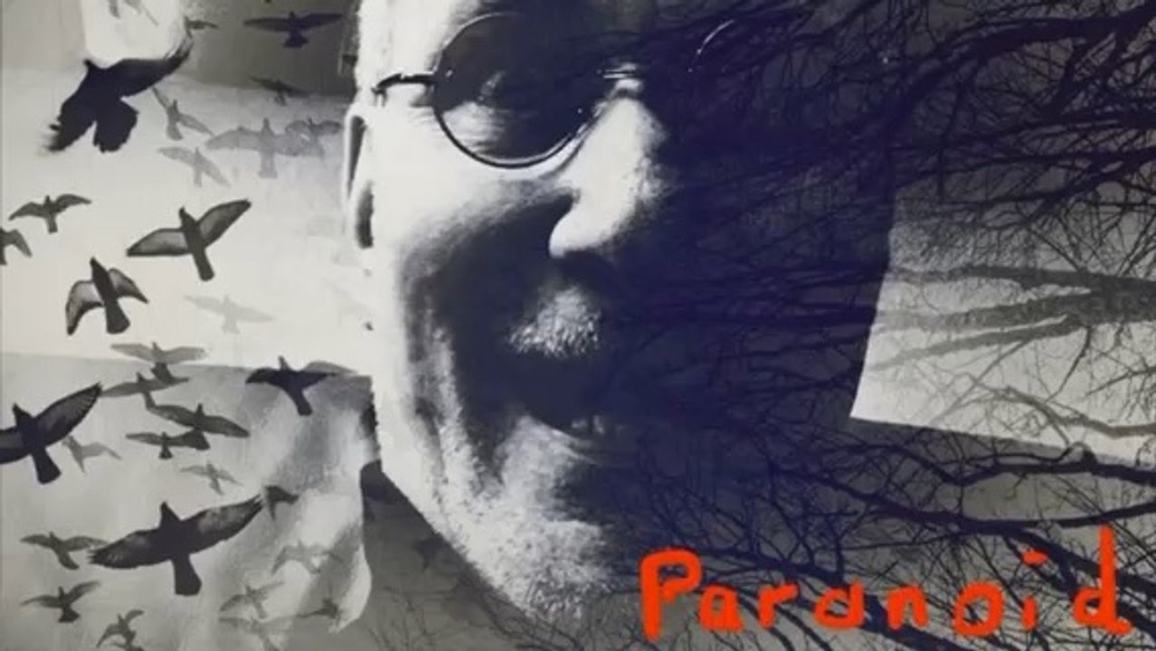 Paranoid - cover by Boris