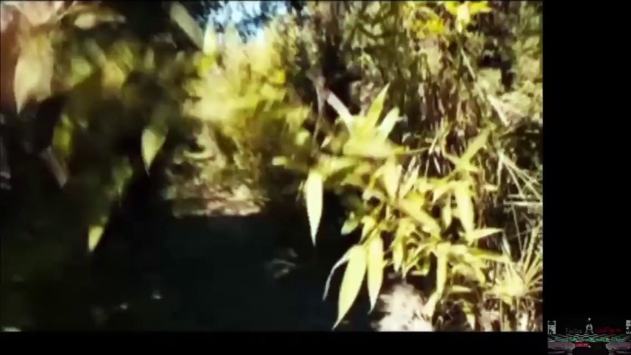 Atrocious