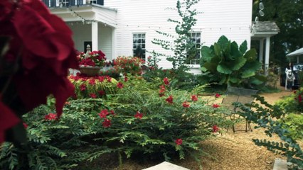 Watch A Perfect Christmas Pairing (2023) Full Movie For Free