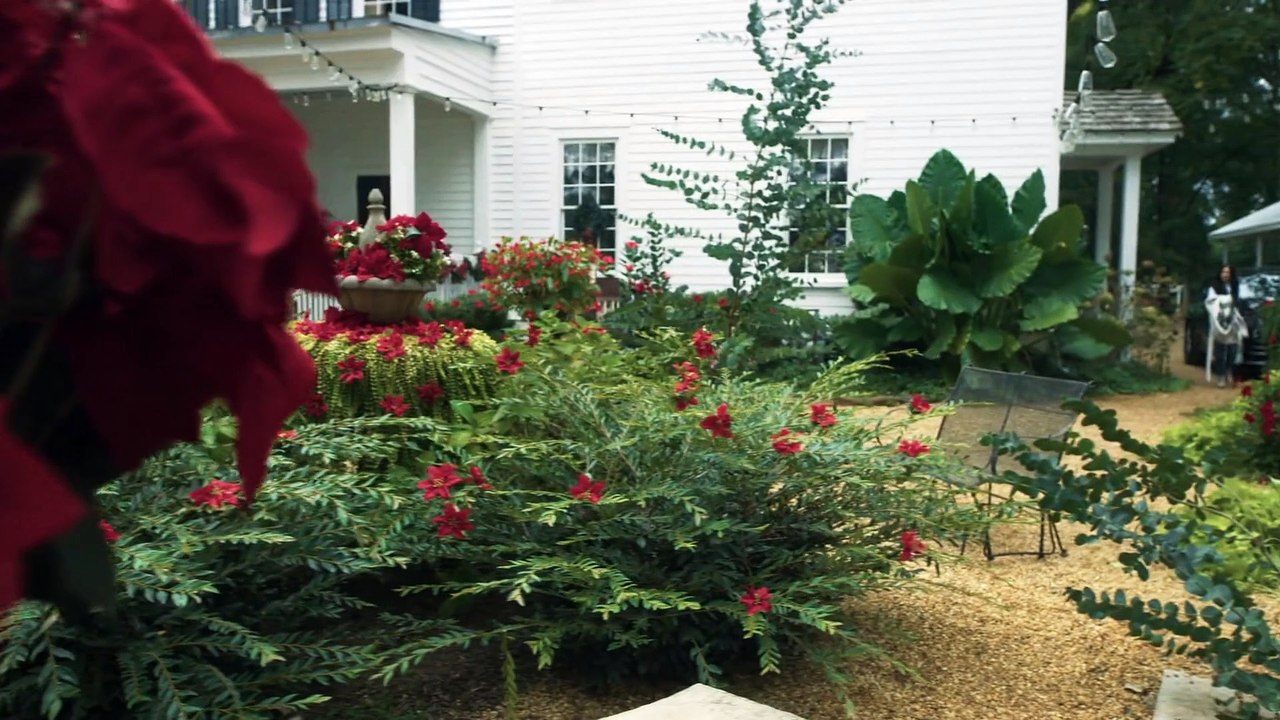 Watch A Perfect Christmas Pairing (2023) Full Movie For Free