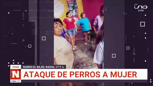 Mujer de la tercera edad es atacada por cuatro perros en Santa Cruz