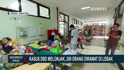 Kasus DBD Melonjak, 269 Orang Dirawat di Lebak Banten