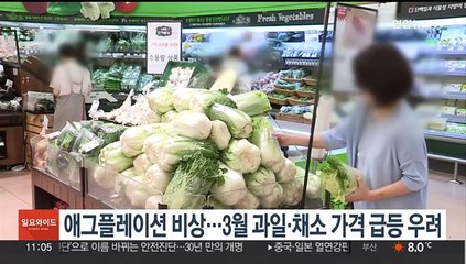 애그플레이션 비상…3월 과일·채소 가격 급등 우려
