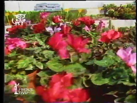 Sequenza spot, fascia pubblicitaria, Tele Centro Toscana Firenze TIVU' del 03 Aprile 1989