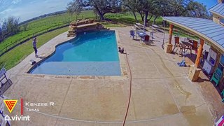 Dog Falls Into The Pool After Cat Leans On Him Caught On Vivint Camera | Doorbell Camera Video