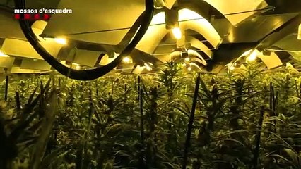 'Operación Copérnico' de los Mossos d'Esquadra