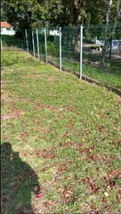 פתיחת סתימה בביוב עם ביובית