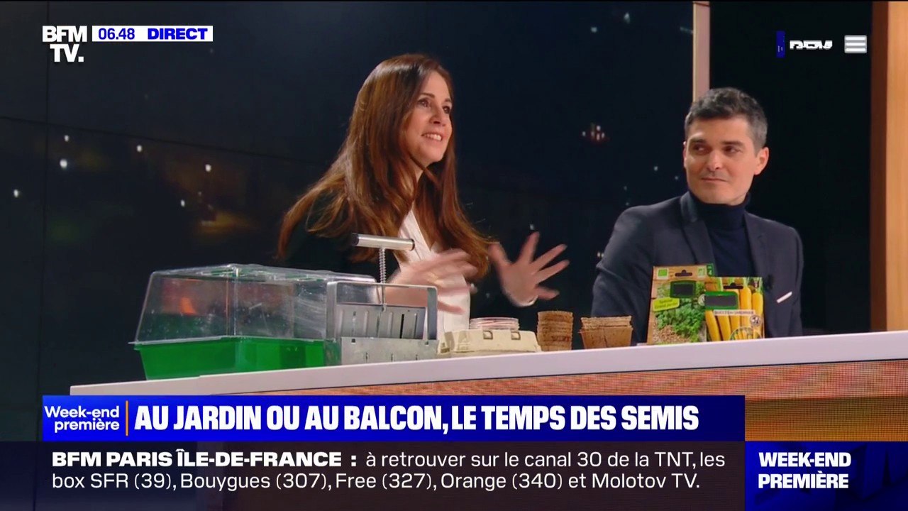 Dans son jardin ou sur son balcon: comment faire des semis pour apprendre à cultiver soi-même?