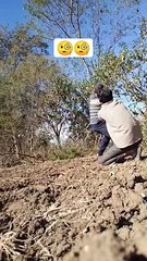 (wood_cutting_)#funnyshorts_#youtubeshorts_#like_#subscribe_#viralvideo(480p)