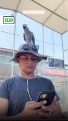 Tarikan terbaru di Kuala Berang