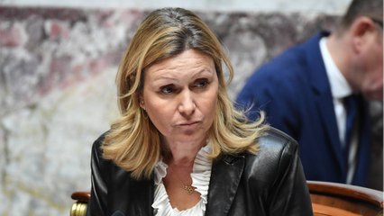 GALA VIDEO - Yaël Braun-Pivet : la présidente de l'Assemblée nationale s’éclate au concert d’un célèbre chanteur français !