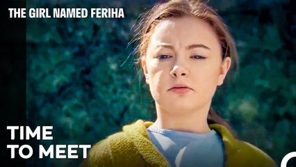 Cansu Has an Important Card to Play - The Girl Named Feriha
