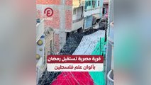 قرية مصرية تستقبل رمضان بألوان علم فلسطين
