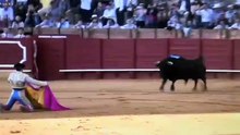 La Palmosilla