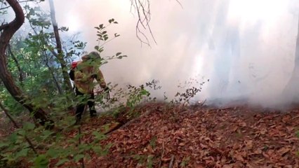 경기 대부동 야산에서 불...다친 사람 없어 / YTN