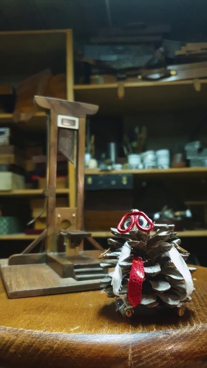 La Guillautine - Professeur Pin