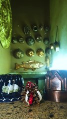 Les moules à gâteaux - Professeur Pin