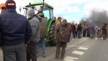 Colère des agriculteurs : quel avenir pour la profession ?