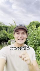 Top 5 des activités à faire dans les Yvelines