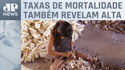 Trabalho infantil aumenta 8,8% no Brasil em 2022