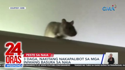 3 daga, nakitang nakapalibot sa mga iniwang basura sa NAIA | 24 Oras Weekend