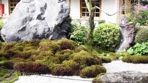Japanese Zen garden. Moss garden. Jardin zen japonais. jardin de mousse.
