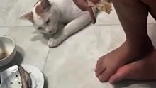 Now that’s what we call a sneaky snack! 