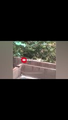 The Funniest Fails and Bloopers (Try Not to Laugh Challenge) part-37