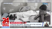 24 Oras Weekend Part 4: Bata nilapa ng mga aso; Pinoy resto sa Australia ; Pamamaalam kay Jaclyn Jose; atbp.