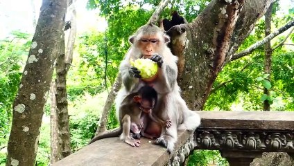 Very Pity Baby   Barry Pulling Baby Bean Downward To Go On The Back (720p_25fps_H264-192kbit_AAC)