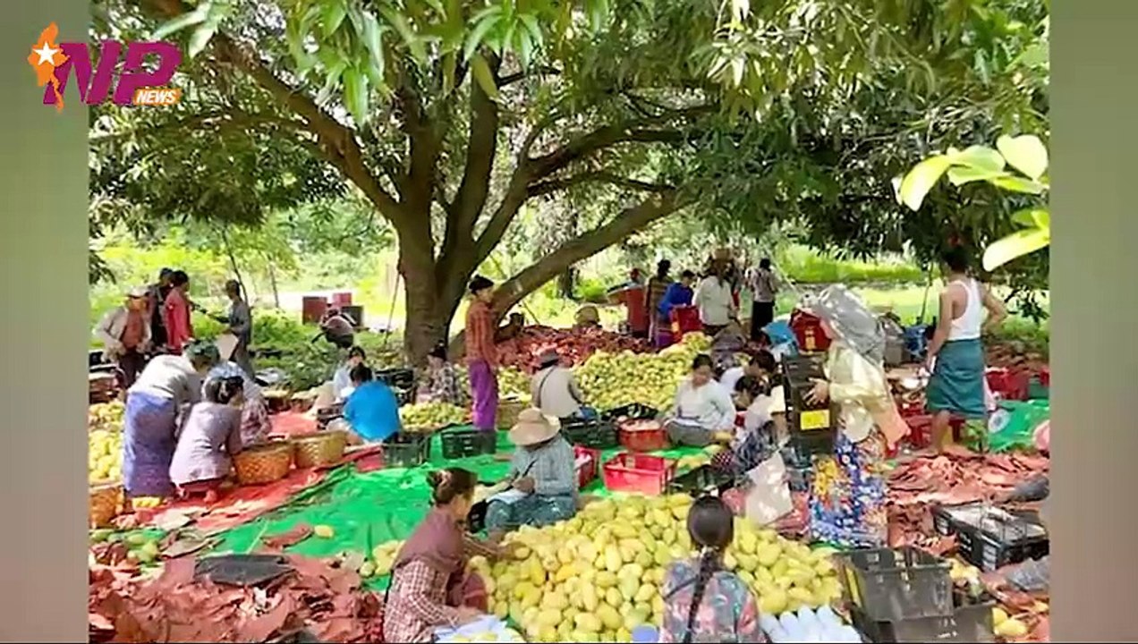 ယနေ့ မတ်လ ၁ဝ ရက်အတွက် ပြည်တွင်းနှင့် ပြည်ပက သတင်းထူးများ