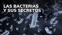 Las bacterias y sus secretos