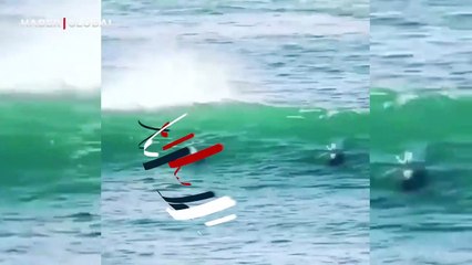 Acemi sörfçüye dalgayla gelen sürpriz misafir! Vole vurur gibi vurdu