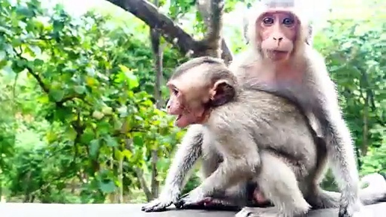 what sickness of this little cute is_, Monika crying loudly, she feels sad (720p_25fps_H264-192kbit_AAC)