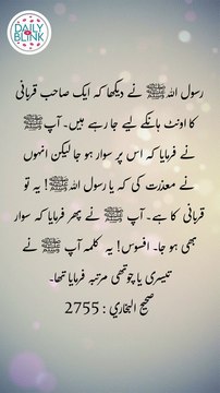 Daily Hadees | Hadees Sharif | Sahih Bukhari 2755 || Daily Blink #shorts #hadees #hadith