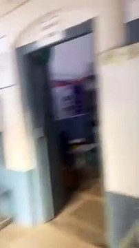 Video: Such condition of the hospital... Dogs resting on the beds of p