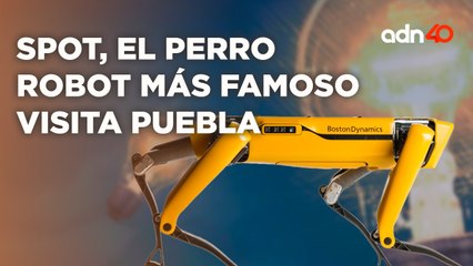 Spot, el perro robot, visitó puebla en el Festival de las Ideas