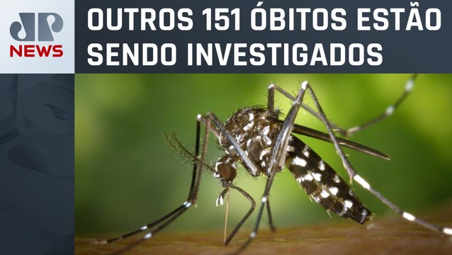 São Paulo registra mais de 177 mil casos e 51 mortes confirmadas de dengue