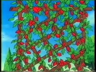 Cenerentola (VHS Stardust - 1996)