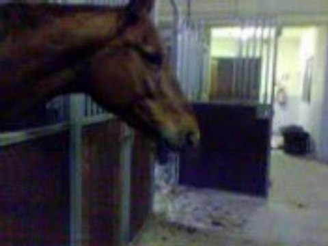 Laura ; Tu nous fait quoi la ? xD