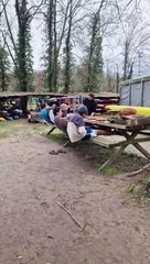 Séance muscu (suite)